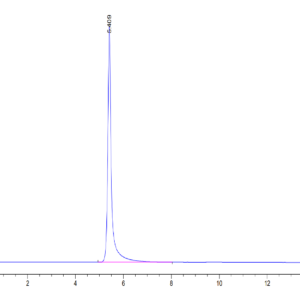 HPLC of Human HLA-A*11:01&B2M&KRAS G12V (VVVGAVGVGK) Tetramer Protein 3384