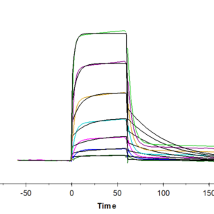 SPR with Human HLA-A*02:01&B2M&AFP (FMNKFIYEI) Tetramer Protein 3385