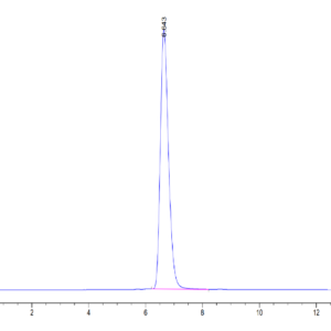 HPLC of Human HLA-A*02:01&B2M&AFP (PLFQVPEPV) Tetramer Protein 3393