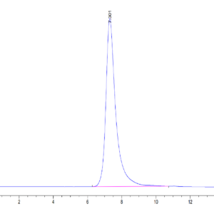 HPLC of Human HLA-A*02:01&B2M&AFP (PLFQVPEPV) Monomer Protein 3394