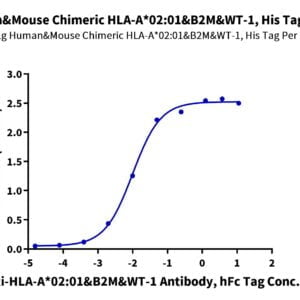 ELISA with Chimeric HLA-A*02:01 (mα3) &B2M&WT-1 (RMFPNAPYL) Monom 3396