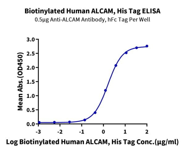 ELISA with Biotinylated Human ALCAM/CD166 Protein (Primary Amine Labeli 3403