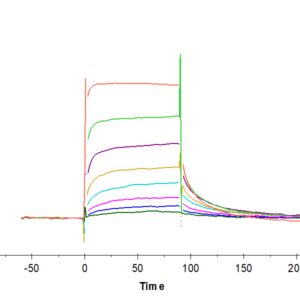 SPR with Human FcRn Protein 3412