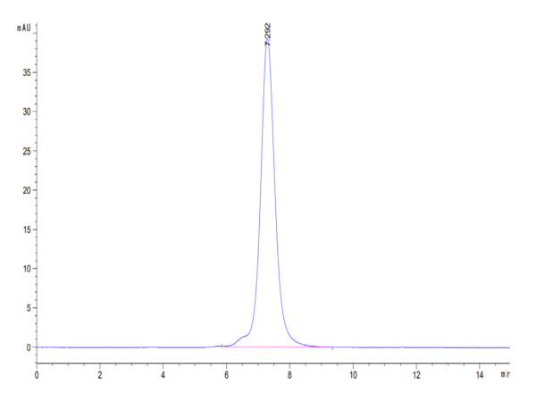 HPLC of Mouse IL-17R alpha/CD217 Protein 3419