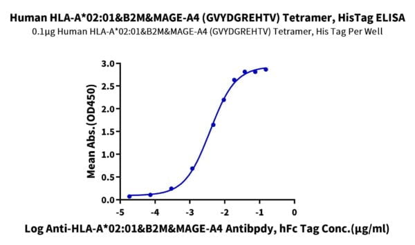ELISA with Human HLA-A*02:01&B2M&MAGE-A4 (GVYDGREHTV) Tetramer Protein 3423