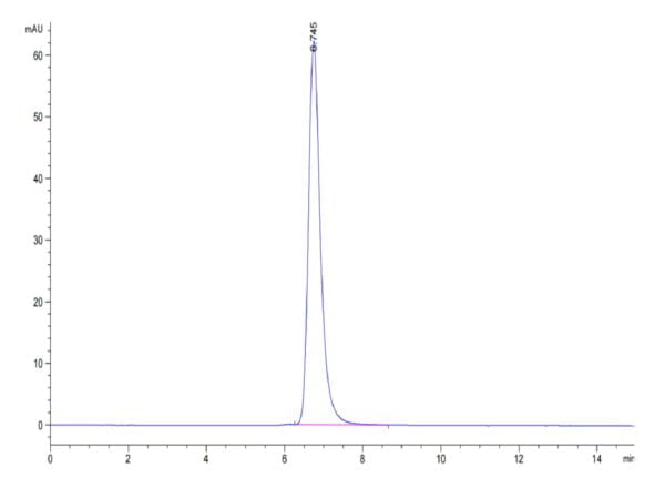 HPLC of Human HLA-A*02:01&B2M&MAGE-A4 (GVYDGREHTV) Tetramer Protein 3423