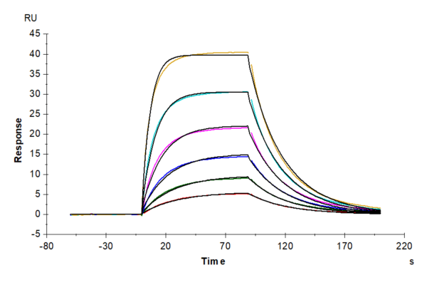 SPR with Mouse IL-2 Protein 3433