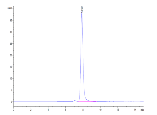 HPLC of Human BTN3A1/CD277 Protein 3434