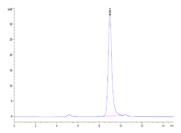 HPLC of Biotinylated Human PLAU/uPA Protein (active form)  3442