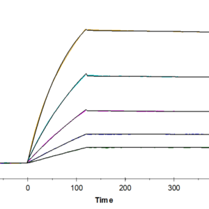 SPR with Human FLT3/Flk-2 Protein 3448