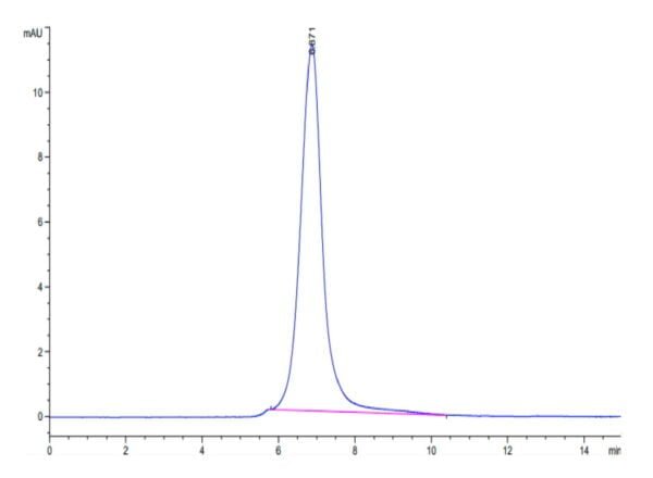 HPLC of Mouse PODXL2 Protein 3454