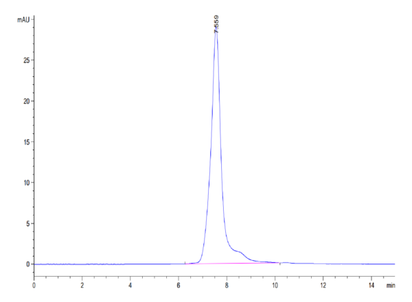 HPLC of Mouse Siglec-5/CD170 Protein 3457