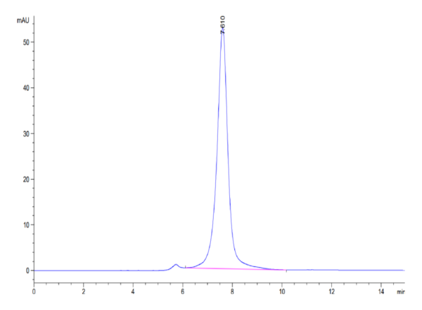 HPLC of Biotinylated Human CLEC12A/MICL/CLL-1 Protein 3458