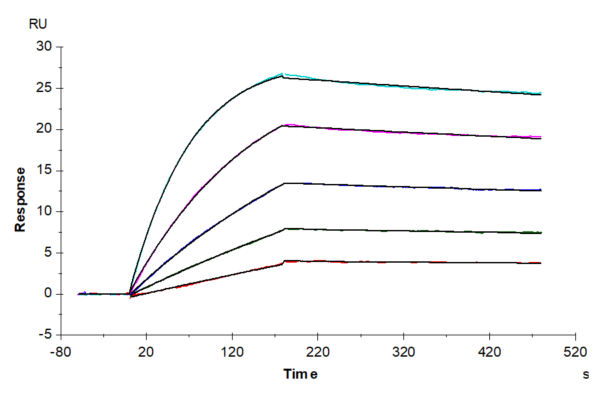 SPR with Human IL-15RA&IL-15 Protein 3465