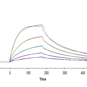 SPR with Human HLA-A*03:01&B2M&KRAS G12V (VVVGAVGVGK) Tetramer Protein 3466