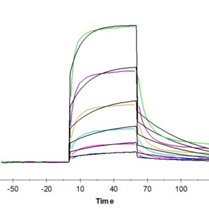 SPR with Human HLA-A*03:01&B2M&KRAS G12V (VVVGAVGVGK) Monomer Protein 3467