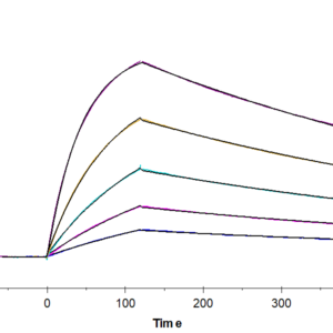 SPR with Human HLA-A*11:01&B2M&KRAS G12D (VVVGADGVGK) Monomer Protein 3472
