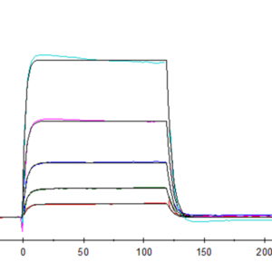 SPR with Human B7-H7/HHLA2 Protein 3475