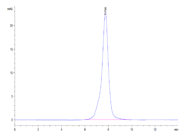 HPLC of Mouse Osteoactivin/GPNMB Protein 3476