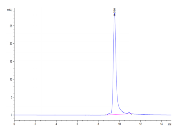 HPLC of Biotinylated Human FGF-7/KGF Protein (Primary Amine Labeling) 3480