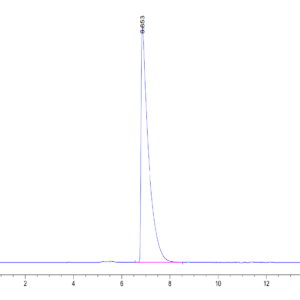 HPLC of Mouse CEACAM-1/CD66a Protein 3481