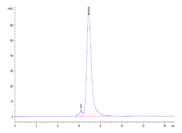 HPLC of Mouse L1CAM Protein 3483