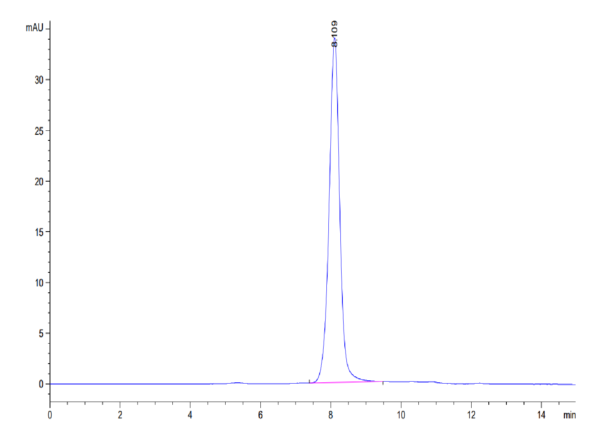 HPLC of Biotinylated Human SIRP alpha V2/CD172a Protein 3488