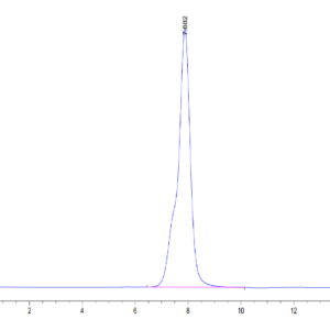 HPLC of Human Osteoactivin/GPNMB Protein 3493