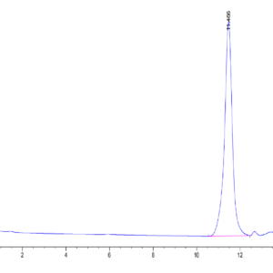 HPLC of Human PLAU/uPA Protein (active form) 3495