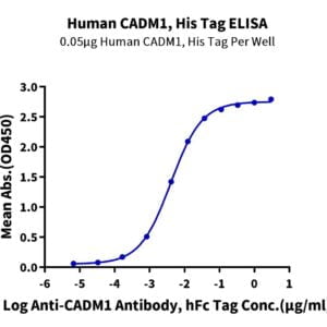 ELISA with Human CADM1/IGSF4A Protein 3497
