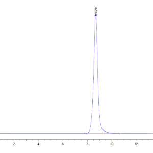 HPLC of Mouse DDR1 Protein 3505