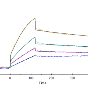 SPR with Human DDR1 Protein 3506