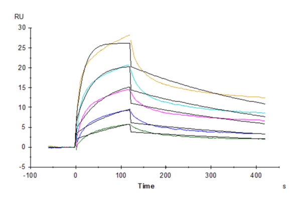 SPR with Rhesus macaque LILRB1/CD85j/ILT2 Protein 3508