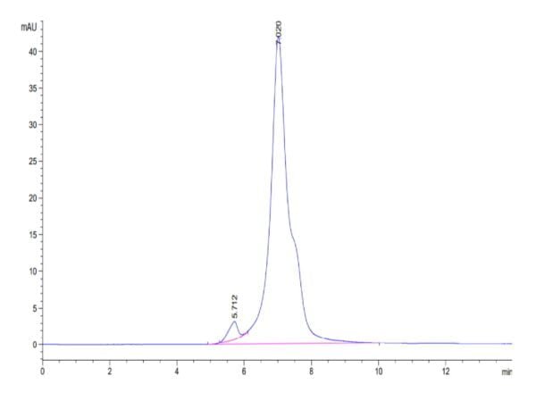 HPLC of Rhesus macaque LILRB1/CD85j/ILT2 Protein 3508