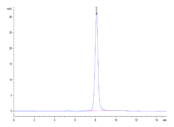 HPLC of Biotinylated Human SIRP alpha V3 Protein 3509