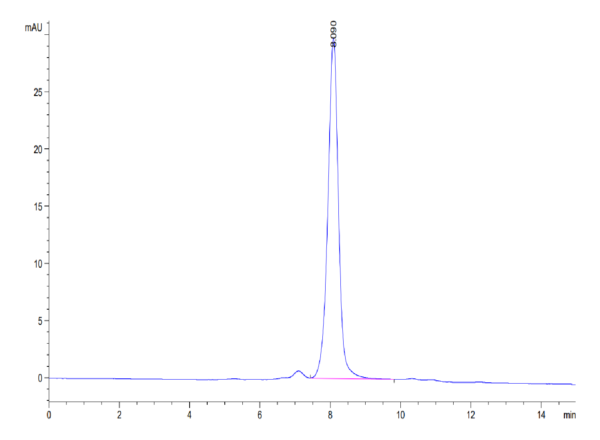 HPLC of Biotinylated Human SIRP alpha V6 Protein 3510