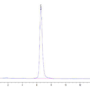 HPLC of Human SEZ6L2 Protein 3519
