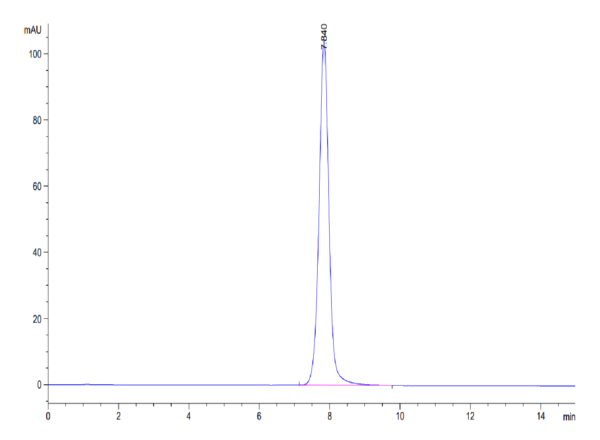 HPLC of Human EPHA3 Protein 3520