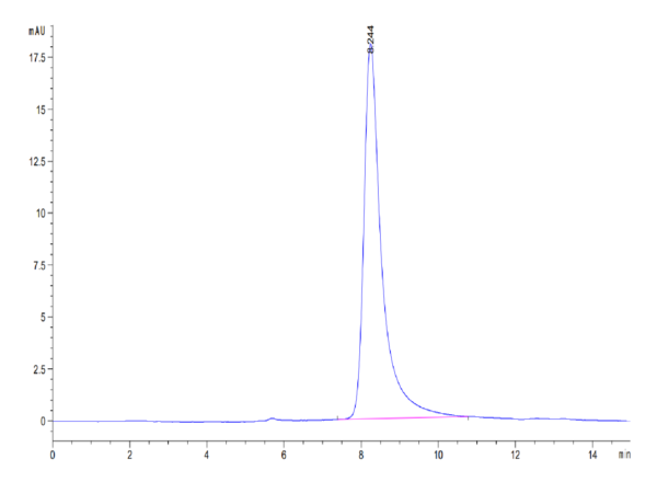 HPLC of Human CD30 Ligand/TNFSF8 Protein 3525