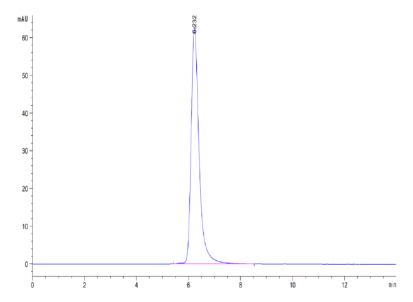 HPLC of Mouse PLA2G1B Protein 3528