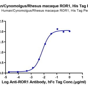 ELISA with Human/Cynomolgus/Rhesus macaque ROR1 (39-151, Ig-like Domain 3536