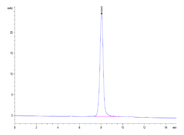 HPLC of Biotinylated Human SIRP Beta 1 Isoform 3 Protein 3550