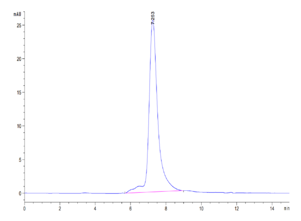 HPLC of Mouse Periostin/OSF-2 Protein 3557