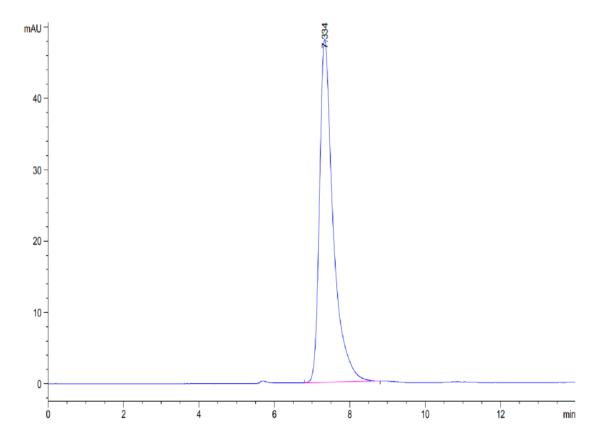 HPLC of Human CD13/ANPEP Protein 3565