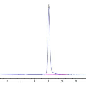 HPLC of Human SEMA4B Protein 3571