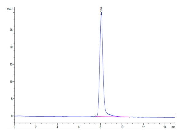 HPLC of Human SEMA4B Protein 3571