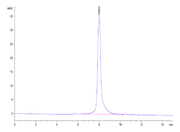 HPLC of Mouse IFN alpha/beta R1 Protein 3572