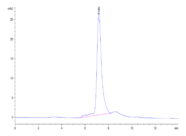 HPLC of Mouse TREML2/TLT-2 Protein 3575