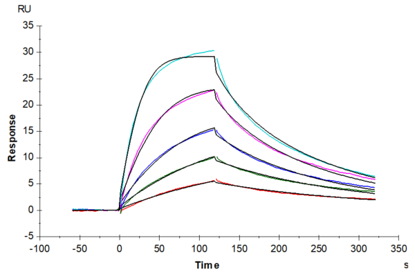 SPR with Mouse TNFSF15 Protein 3576