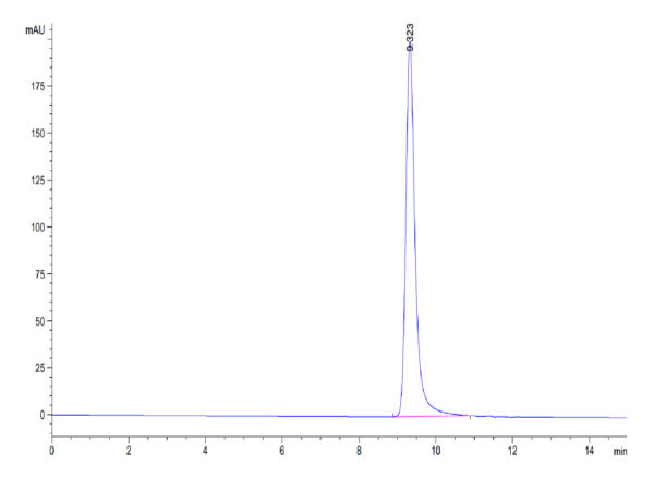 HPLC of Mouse FOLR2 Protein 3577